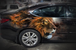 Ioq9WmfX8D41-e1555932911156